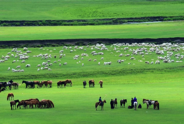 内蒙古有哪些发展畜牧业的优势？