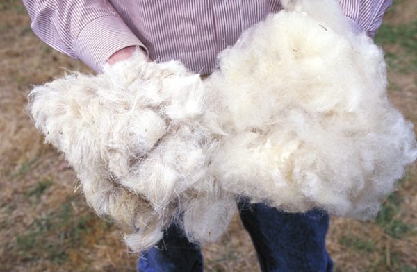 羊毛如何清洗和加工